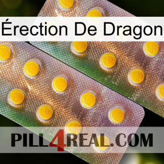 Érection De Dragon new10